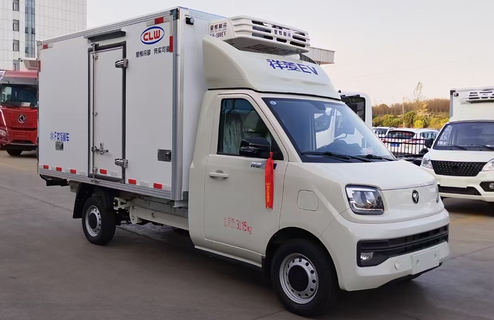 mini refrigerated truck for sale